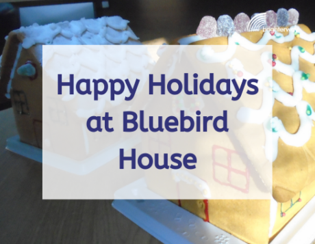 Happy Holidays at Bluebird House